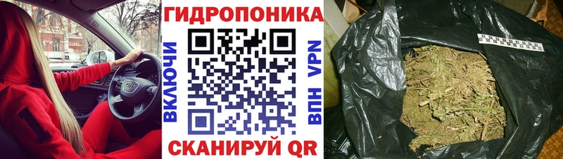 ОМГ ОМГ вход  купить наркотик  Нововоронеж  Бошки марихуана сатива 